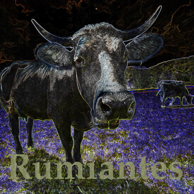 Rumiantes