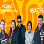 Javier Bravo - Enganchados de zambas